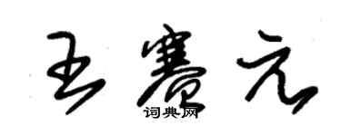 朱錫榮王賽元草書個性簽名怎么寫