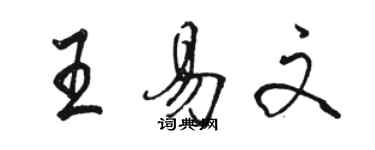 駱恆光王易文行書個性簽名怎么寫