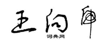 曾慶福王向虎草書個性簽名怎么寫