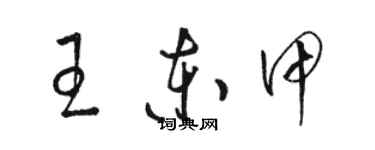 駱恆光王東甲草書個性簽名怎么寫