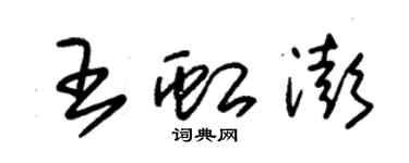 朱錫榮王虹澎草書個性簽名怎么寫