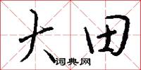 大計小用的意思_大計小用的解釋_國語詞典