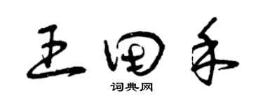 曾慶福王田禾草書個性簽名怎么寫