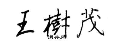 王正良王樹茂行書個性簽名怎么寫