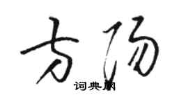 駱恆光方陽草書個性簽名怎么寫