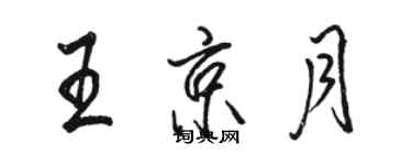 駱恆光王京月行書個性簽名怎么寫