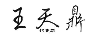 駱恆光王天鼎行書個性簽名怎么寫