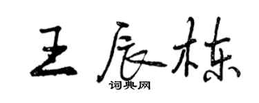 曾慶福王辰棟行書個性簽名怎么寫