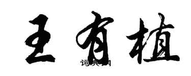 胡問遂王有植行書個性簽名怎么寫