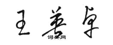 駱恆光王英卓草書個性簽名怎么寫