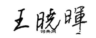 王正良王曉暉行書個性簽名怎么寫