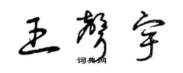 曾慶福王聲宇草書個性簽名怎么寫