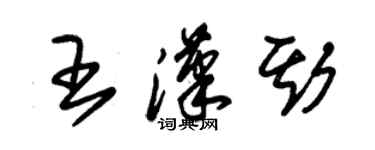 朱錫榮王漢斯草書個性簽名怎么寫