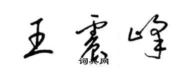 梁錦英王震峰草書個性簽名怎么寫