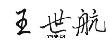 駱恆光王世航行書個性簽名怎么寫