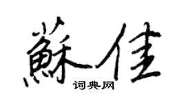 王正良蘇佳行書個性簽名怎么寫