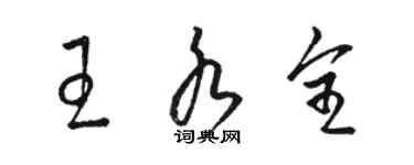 駱恆光王水全草書個性簽名怎么寫