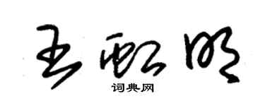 朱錫榮王虹明草書個性簽名怎么寫