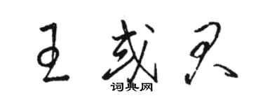 駱恆光王或君草書個性簽名怎么寫