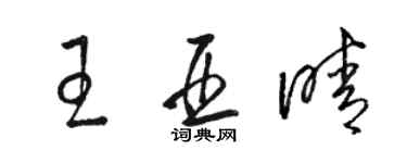 駱恆光王亞晴草書個性簽名怎么寫