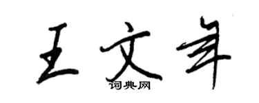 王正良王文年行書個性簽名怎么寫