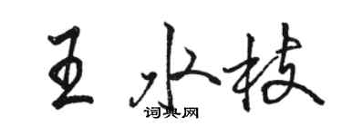 駱恆光王水枝行書個性簽名怎么寫