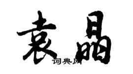 胡問遂袁晶行書個性簽名怎么寫