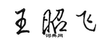 駱恆光王昭飛行書個性簽名怎么寫