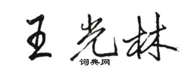 駱恆光王光林行書個性簽名怎么寫