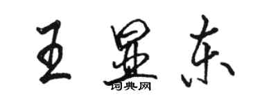 駱恆光王顯東行書個性簽名怎么寫