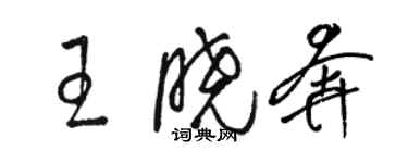 駱恆光王曉奔草書個性簽名怎么寫