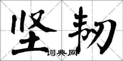 翁闓運堅韌楷書怎么寫