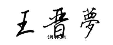 王正良王晉夢行書個性簽名怎么寫