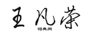 駱恆光王凡榮行書個性簽名怎么寫
