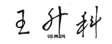 駱恆光王升科草書個性簽名怎么寫