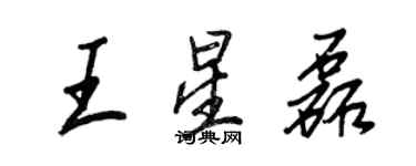 王正良王星磊行書個性簽名怎么寫