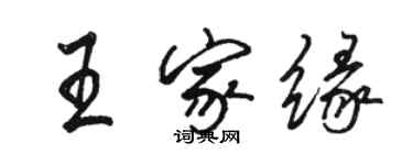 駱恆光王家緣行書個性簽名怎么寫