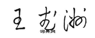 駱恆光王武洲草書個性簽名怎么寫