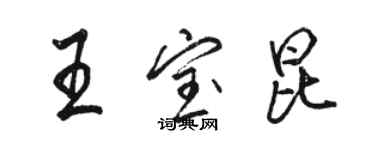 駱恆光王寶昆行書個性簽名怎么寫