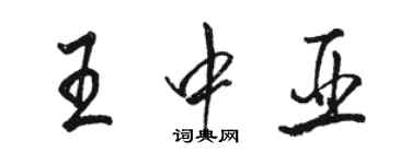 駱恆光王中亞行書個性簽名怎么寫