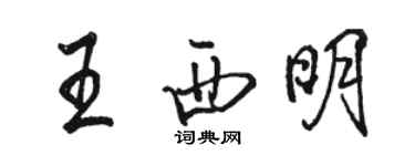 駱恆光王西明行書個性簽名怎么寫