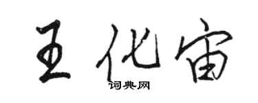 駱恆光王化宙行書個性簽名怎么寫