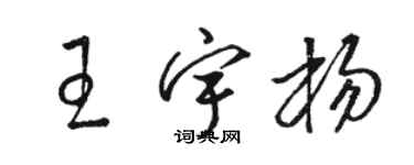 駱恆光王宇楊草書個性簽名怎么寫