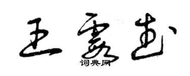 曾慶福王霞武草書個性簽名怎么寫