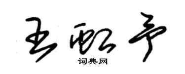 朱錫榮王虹予草書個性簽名怎么寫