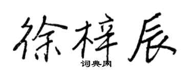 王正良徐梓辰行書個性簽名怎么寫
