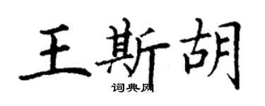 丁謙王斯胡楷書個性簽名怎么寫