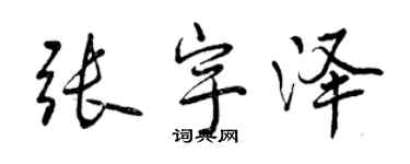 曾慶福張宇澤行書個性簽名怎么寫