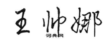駱恆光王帥娜行書個性簽名怎么寫