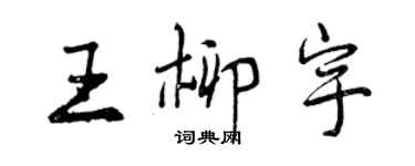 曾慶福王柳宇行書個性簽名怎么寫